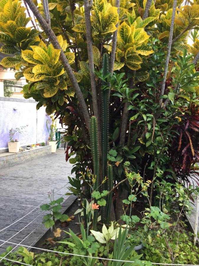 Casa Aconchegante Em Vila Valqueire Рио де Жанейро Екстериор снимка